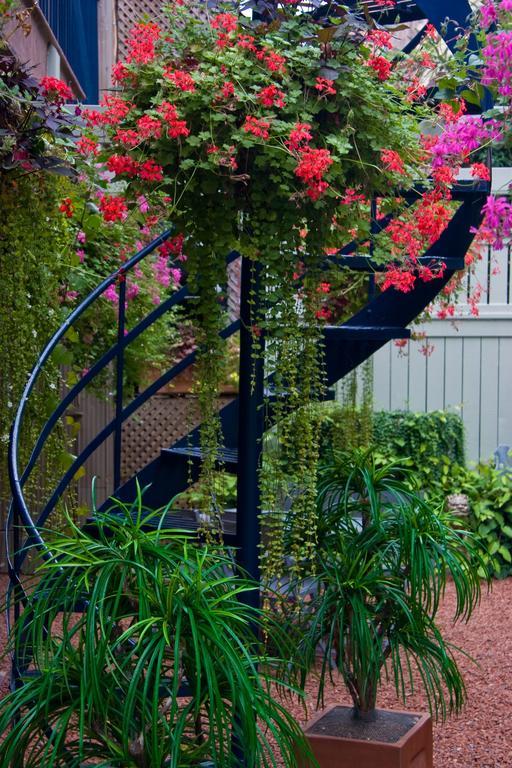 Le Cartier Bed And Breakfast Montréal Exterior foto